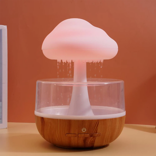 Rain Humidifier